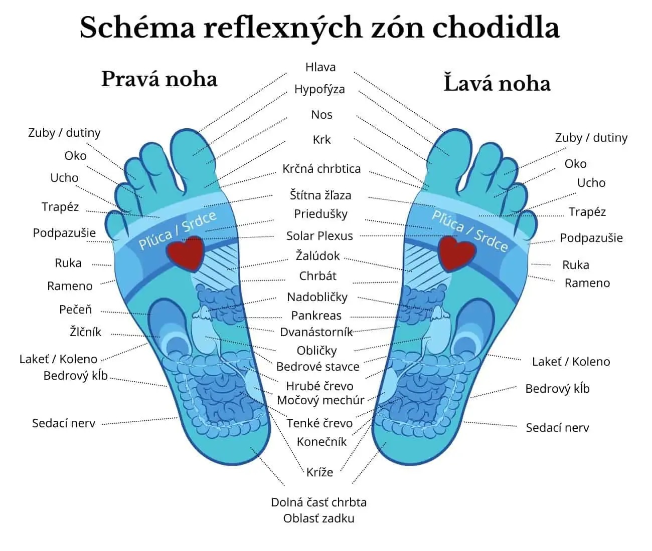 Reflexológia chodidiel Prešov